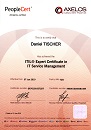 ITIL-Expert Certification