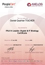ITIL-DITS Certification